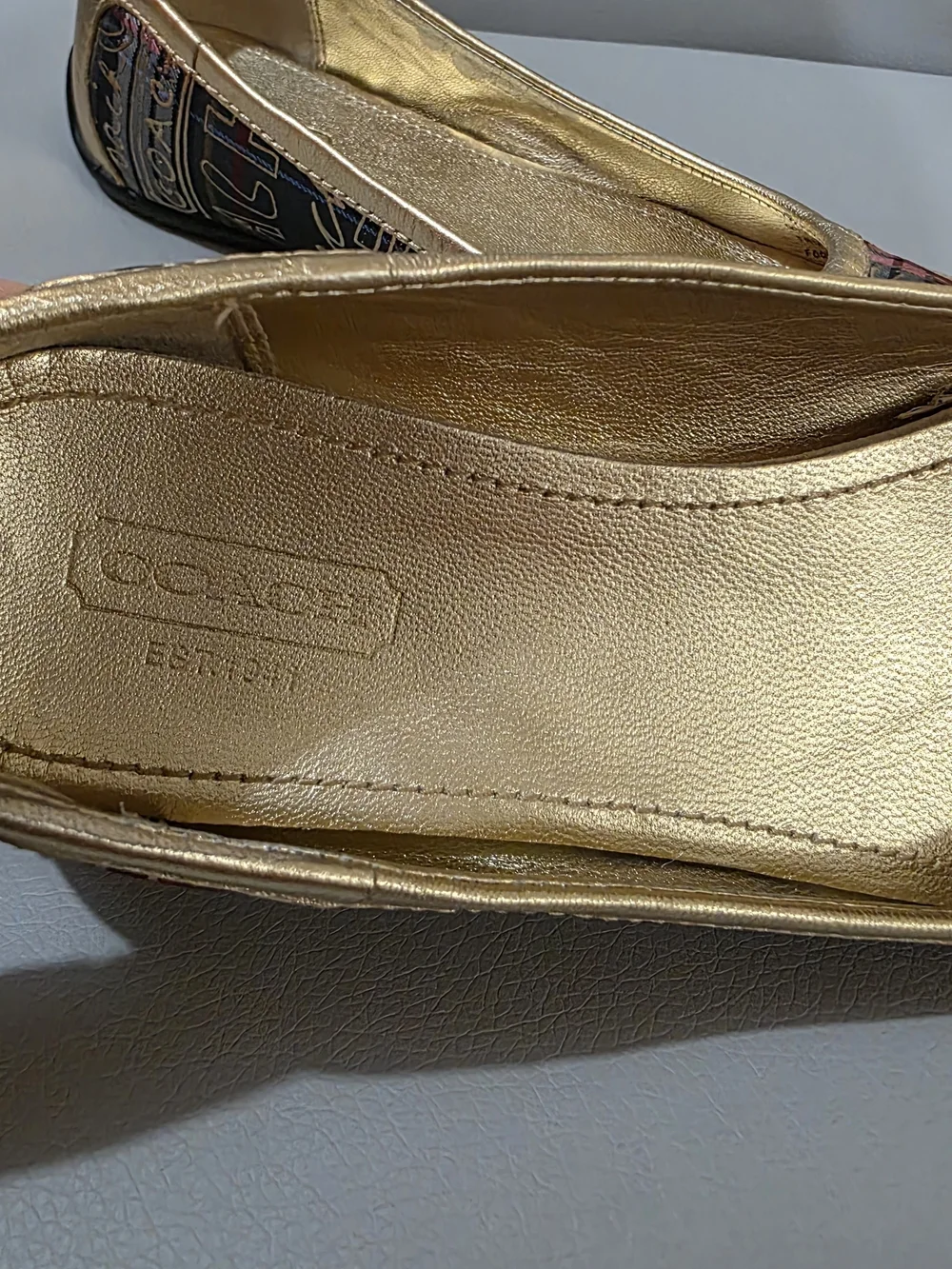 Coach elegant ballet